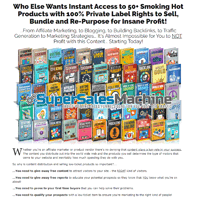 PLR eBook Blowout V1