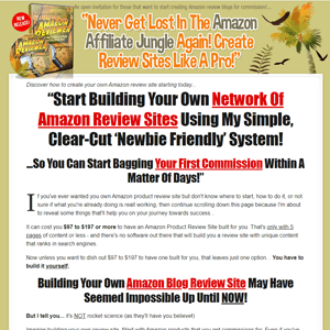The Amazon Reviewer