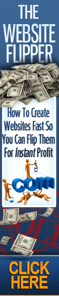 The Website Flipper