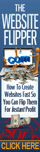 The Website Flipper