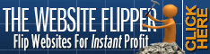 The Website Flipper